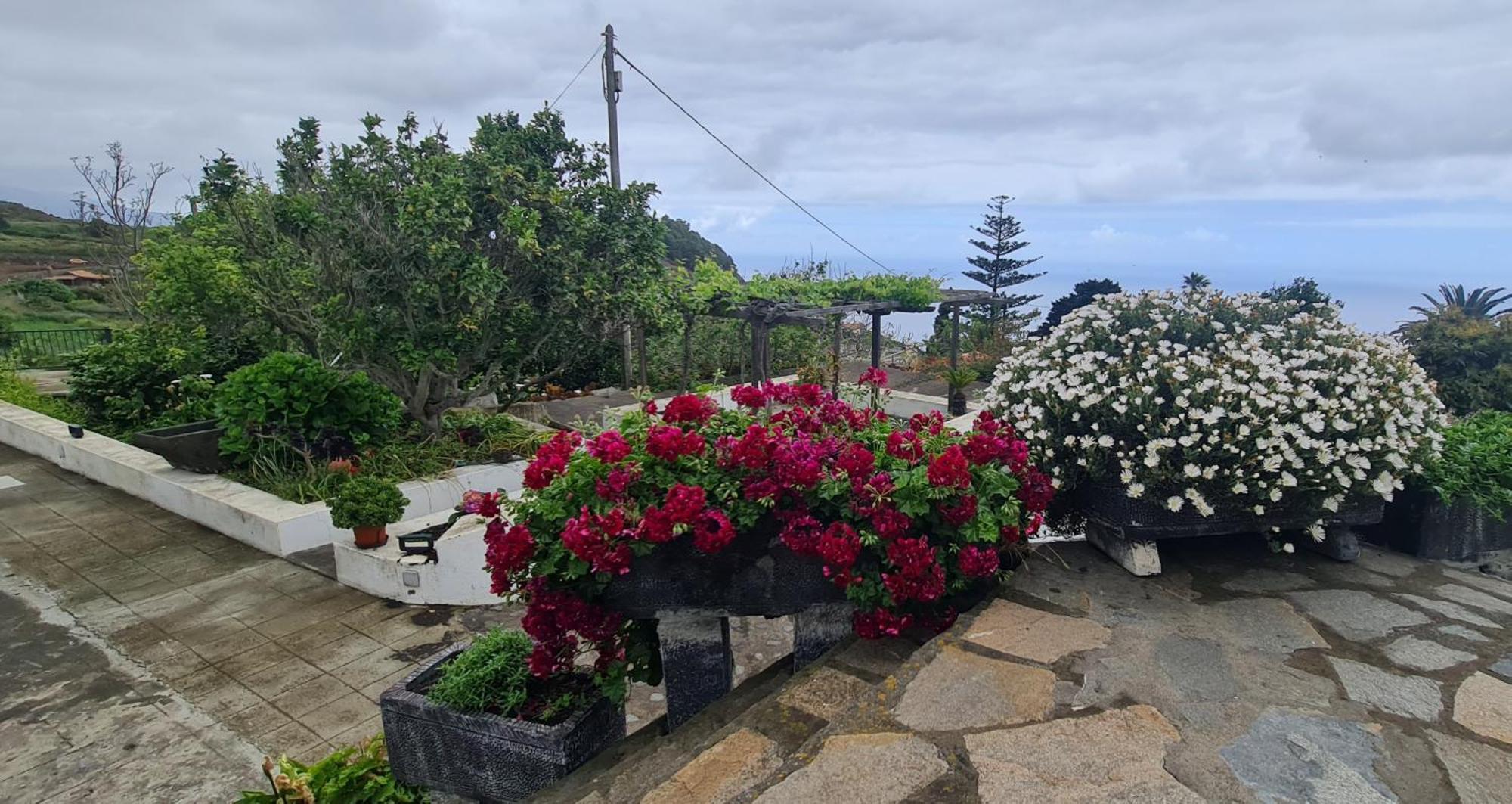 Vivienda Vacacional Finca Monterrey Mazo Chambre photo